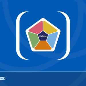 IDP DigComp2.2